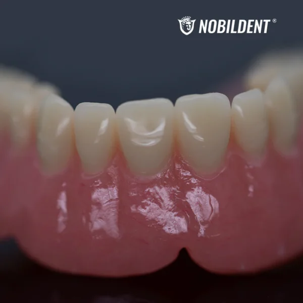 Denture Base Polymers - Image 3