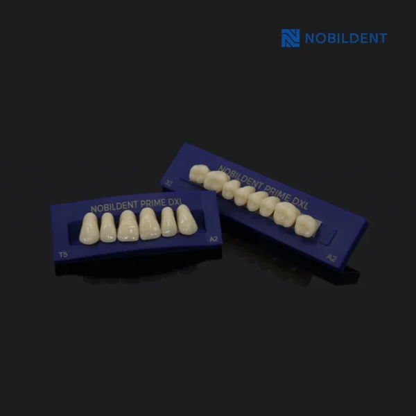 Nobildent Prime DXL Artificial Denture Teeth - Image 4