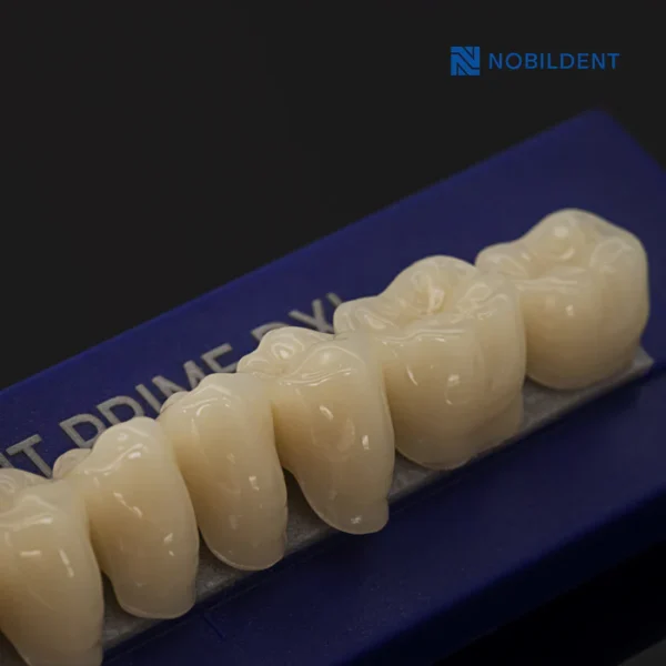 Nobildent Prime DXL Artificial Denture Teeth - Image 3