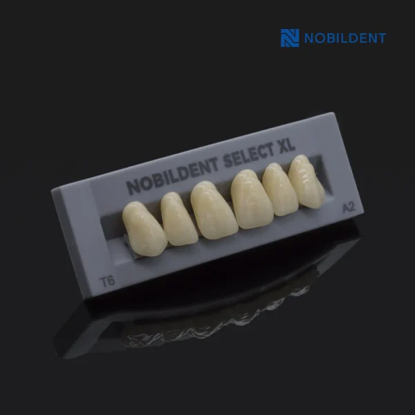 Nobildent Select XL Lower Anterior Denture Teeth - Image 2