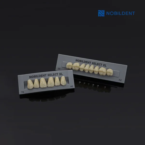 Nobildent Select XL Upper Anterior Denture Teeth - Image 3