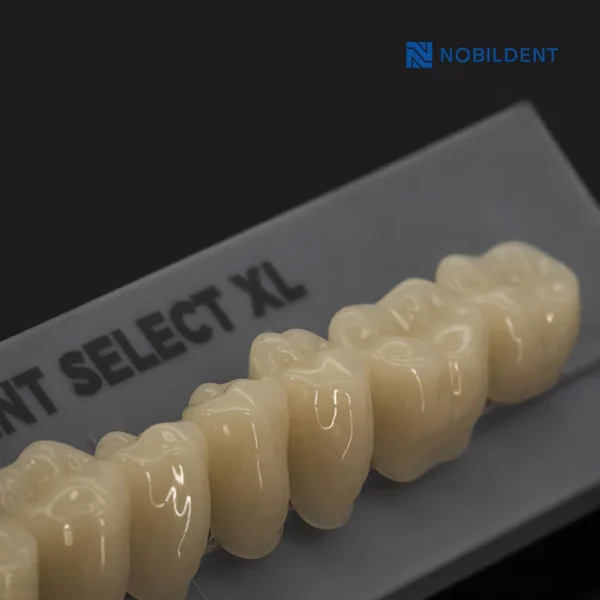 Nobildent Select XL Lower Anterior Denture Teeth - Image 4