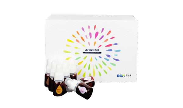 BSM Aconia Artist Coloring Liquid Kit