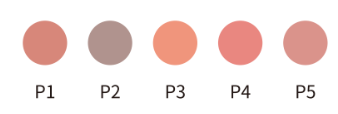 Aidite Gum Shade PMMA - Image 2